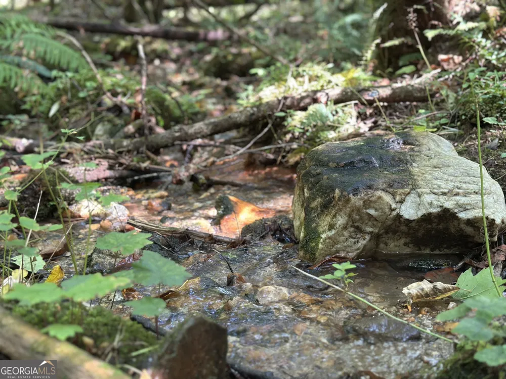 5.74 AC Hardslate RD Ellijay, GA 30540