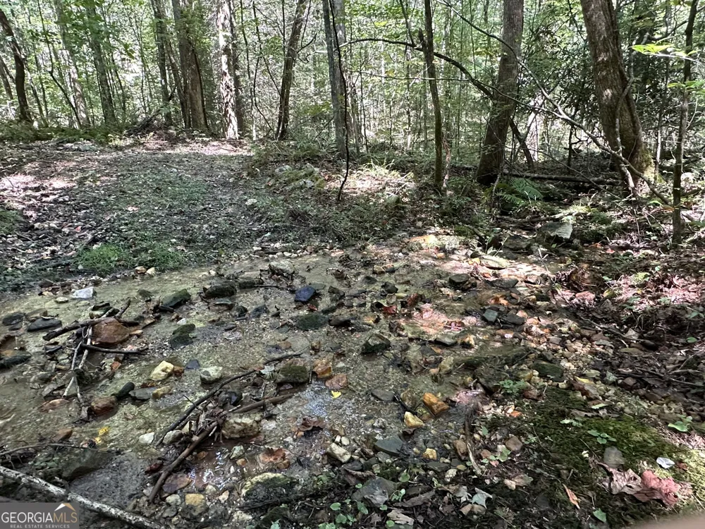 5.74 AC Hardslate RD Ellijay, GA 30540