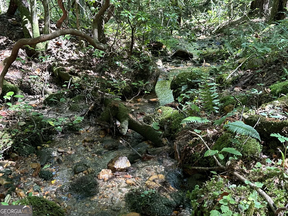 5.74 AC Hardslate RD Ellijay, GA 30540