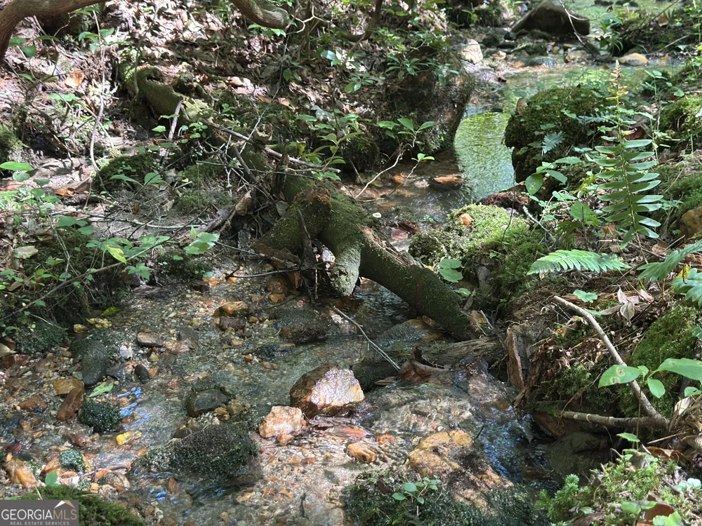 5.74 AC Hardslate RD Ellijay, GA 30540