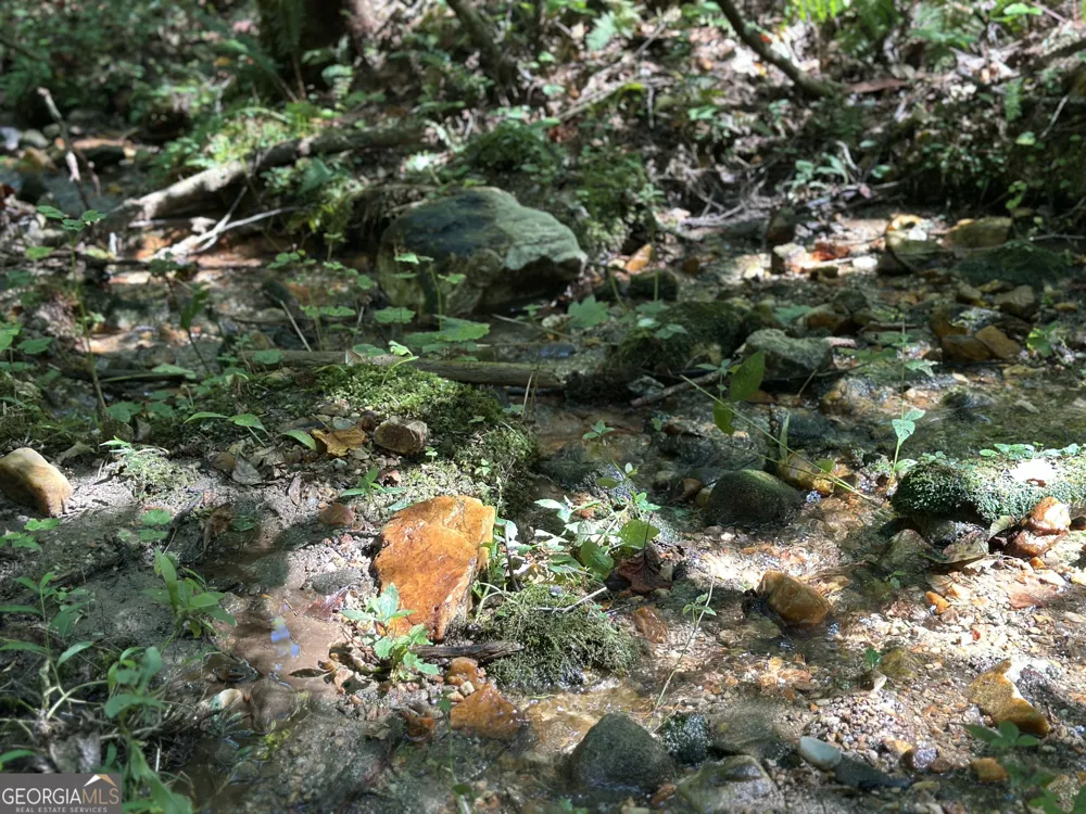 5.74 AC Hardslate RD Ellijay, GA 30540