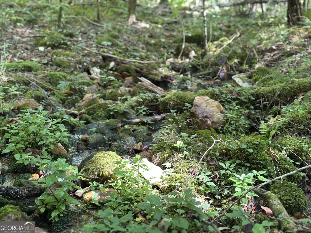 5.74 AC Hardslate RD Ellijay, GA 30540