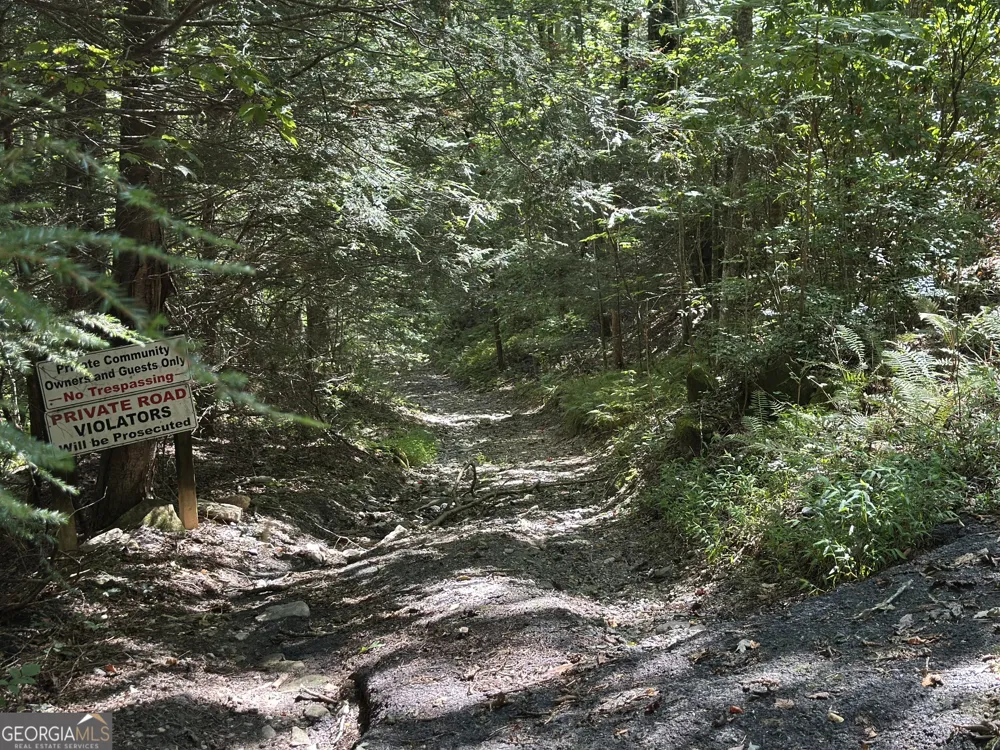 5.74 AC Hardslate RD Ellijay, GA 30540