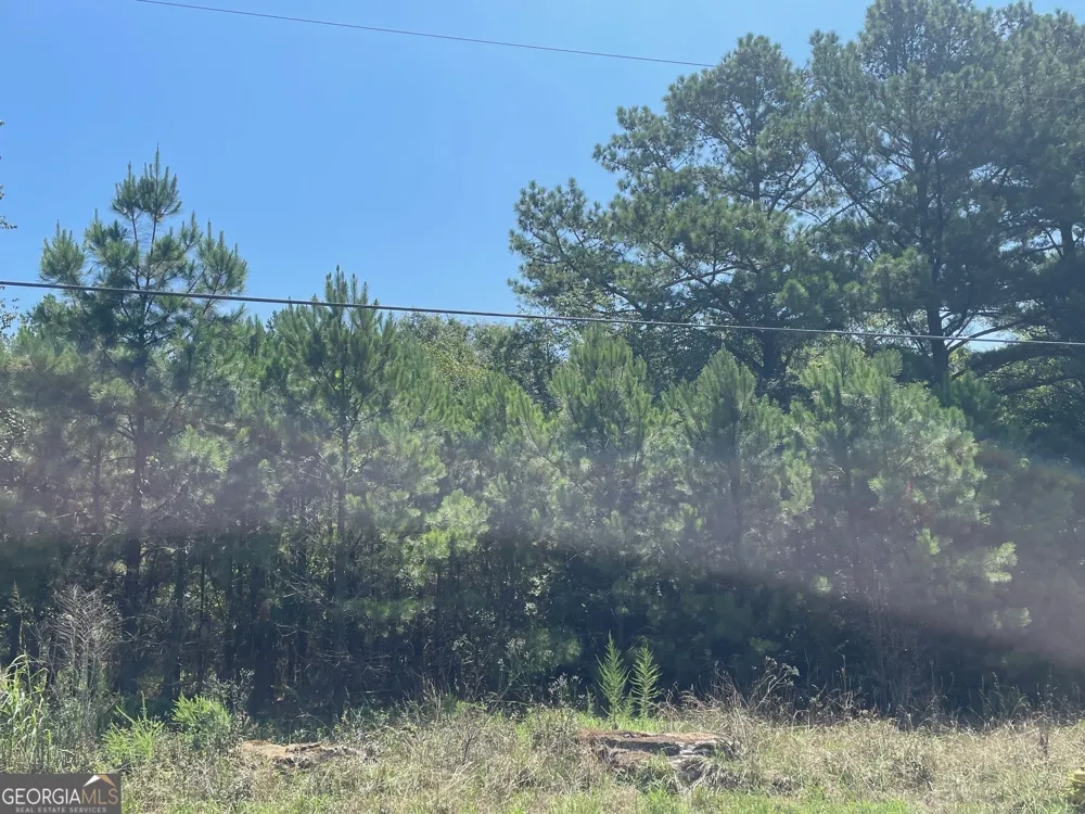 0, 184, 230 Marble DR Oxford, GA 30054