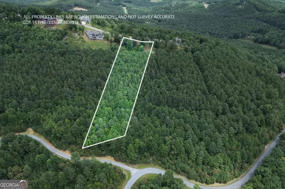 LOT 13 Thirteen Hundred Blairsville, GA 30512