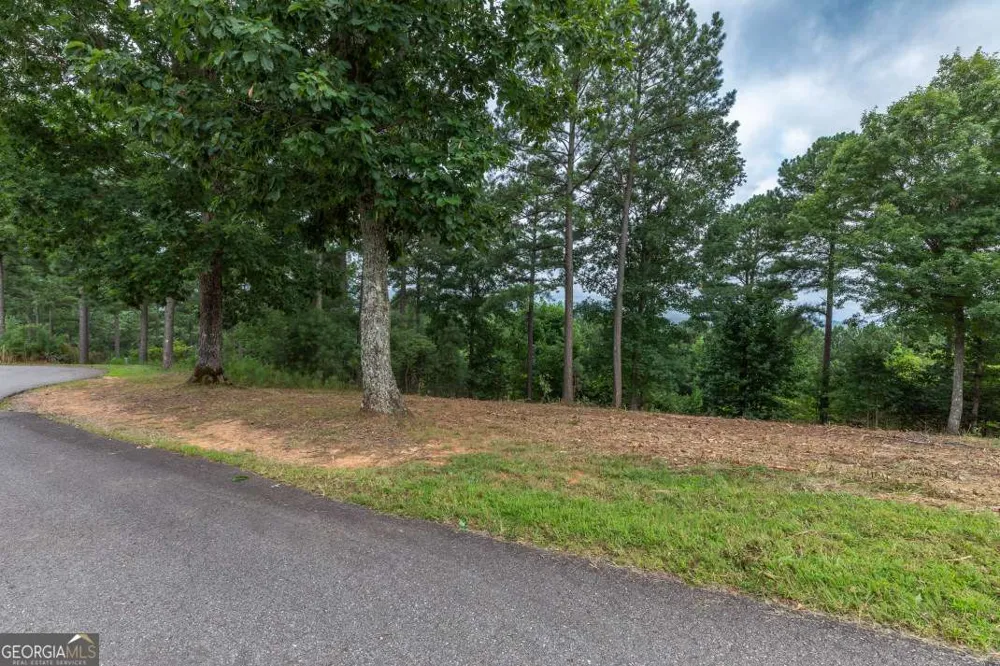 LOT 13 Thirteen Hundred Blairsville, GA 30512