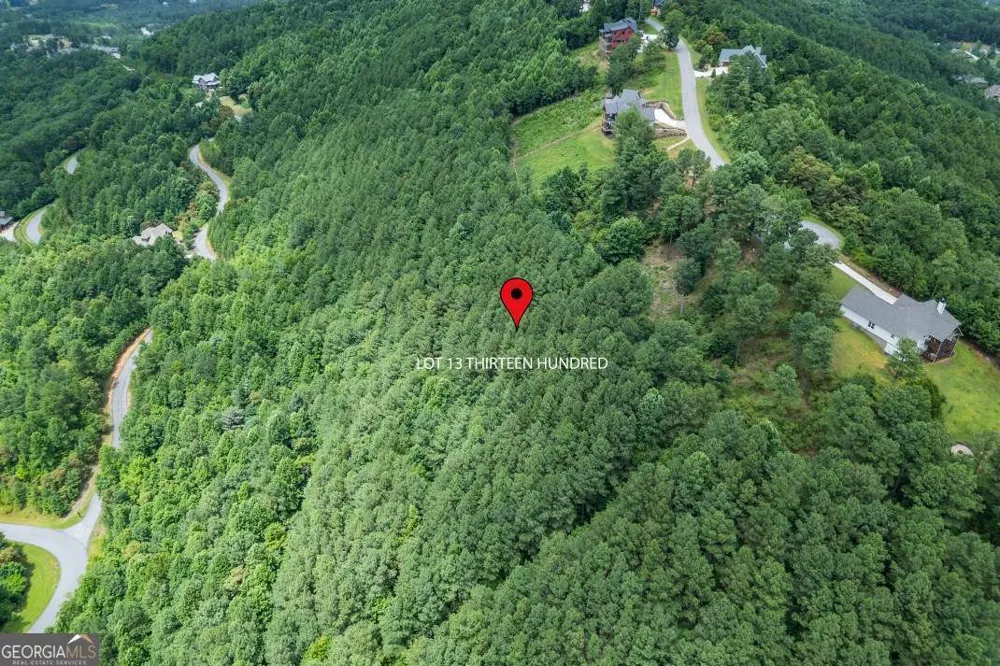 LOT 13 Thirteen Hundred Blairsville, GA 30512