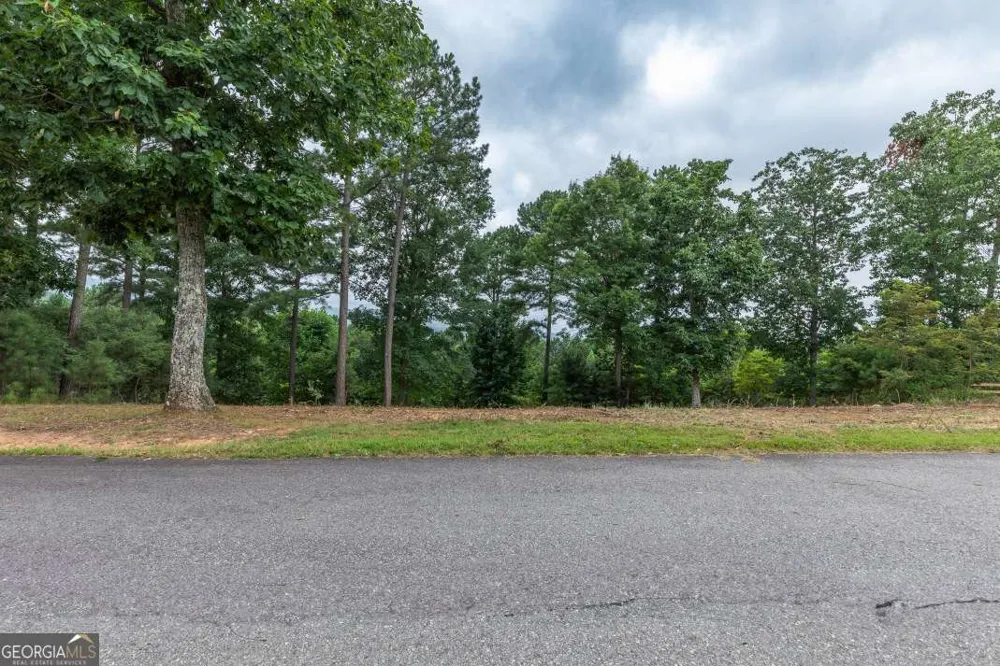 LOT 13 Thirteen Hundred Blairsville, GA 30512