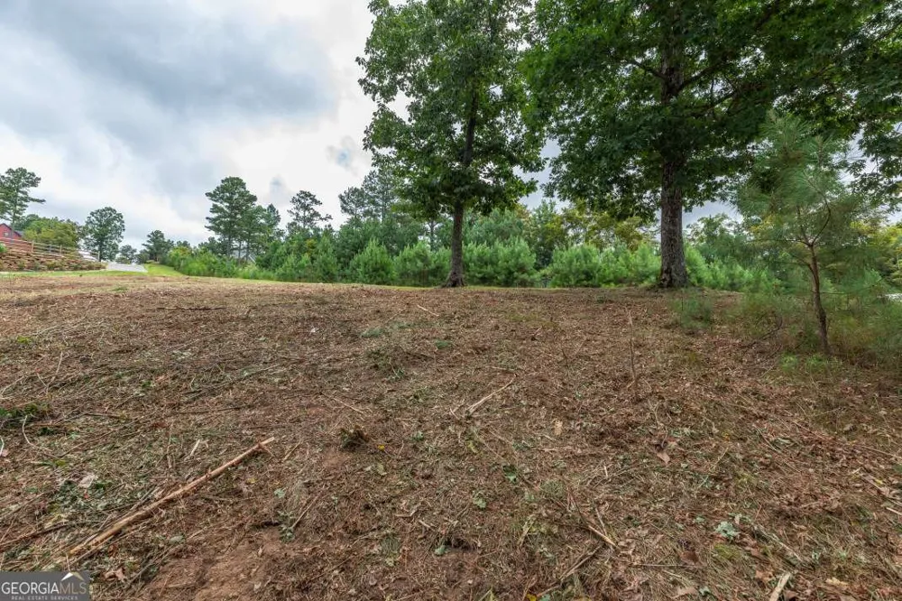 LOT 13 Thirteen Hundred Blairsville, GA 30512