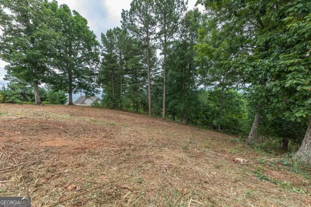 LOT 13 Thirteen Hundred Blairsville, GA 30512