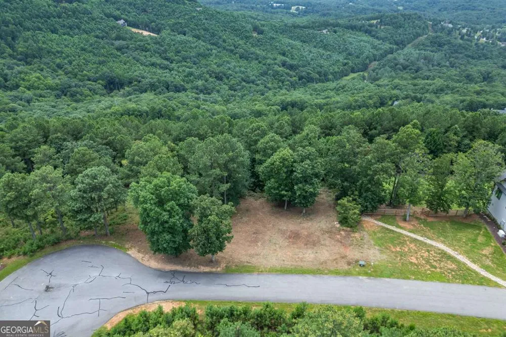 LOT 13 Thirteen Hundred Blairsville, GA 30512