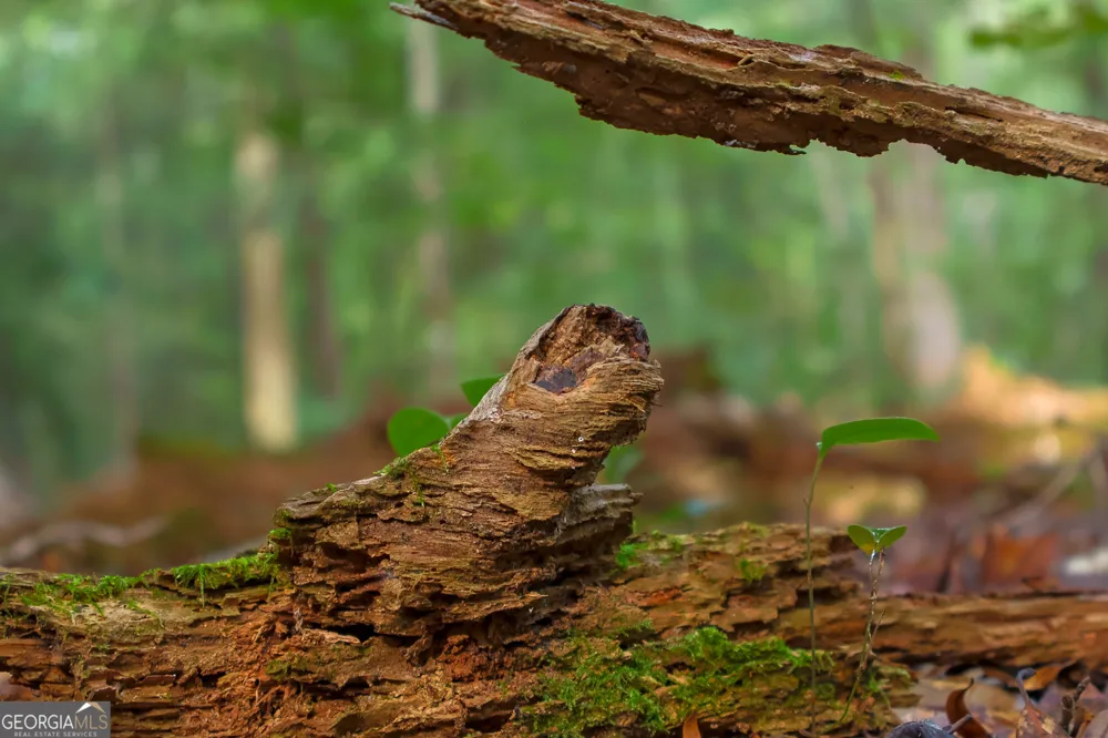 201 Ebony Lounge RD Milledgeville, GA 31061