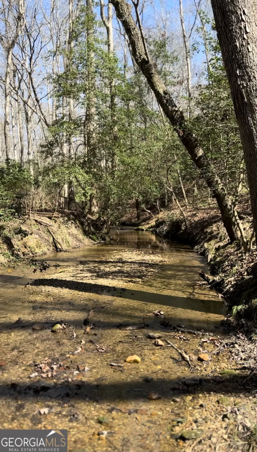 387 Cross Creek TRL Demorest, GA 30535