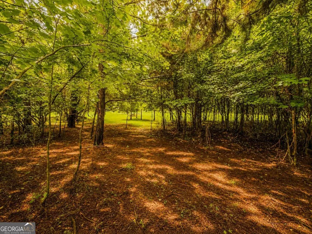 7E Lake Nottely DR Blairsville, GA 30512
