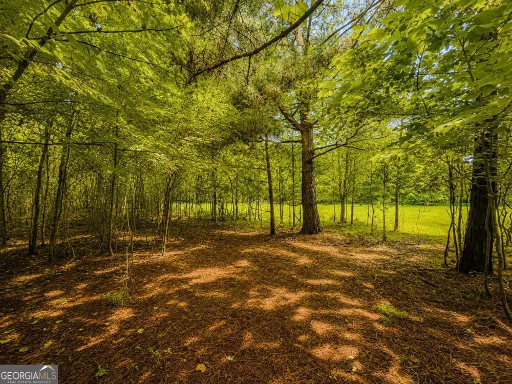 7E Lake Nottely DR Blairsville, GA 30512