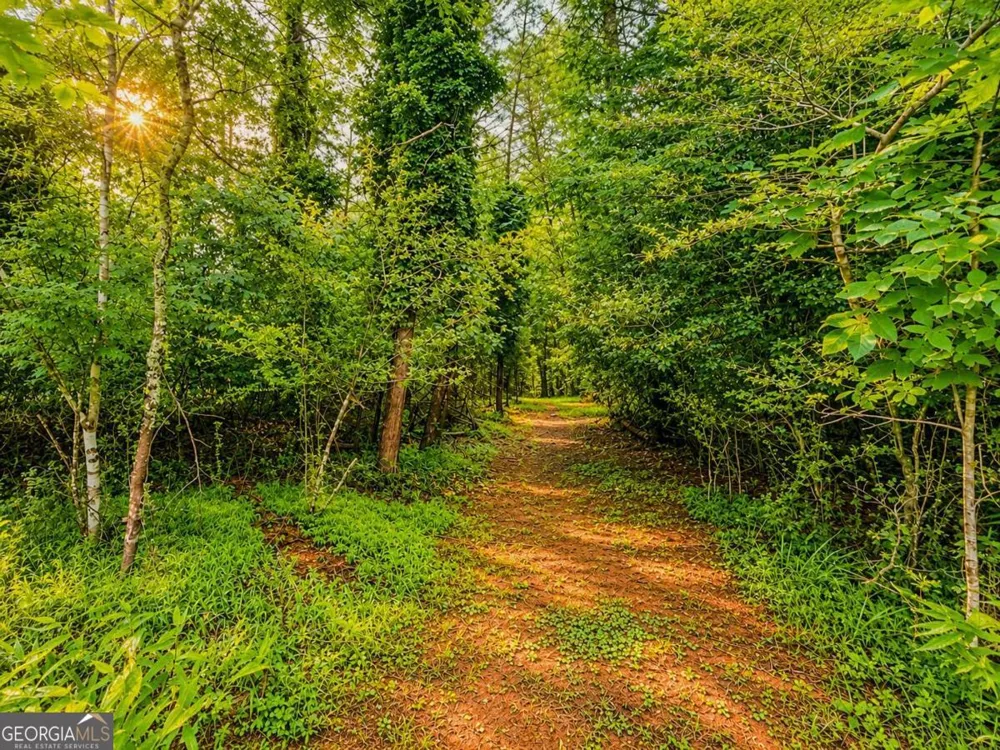 7E Lake Nottely DR Blairsville, GA 30512