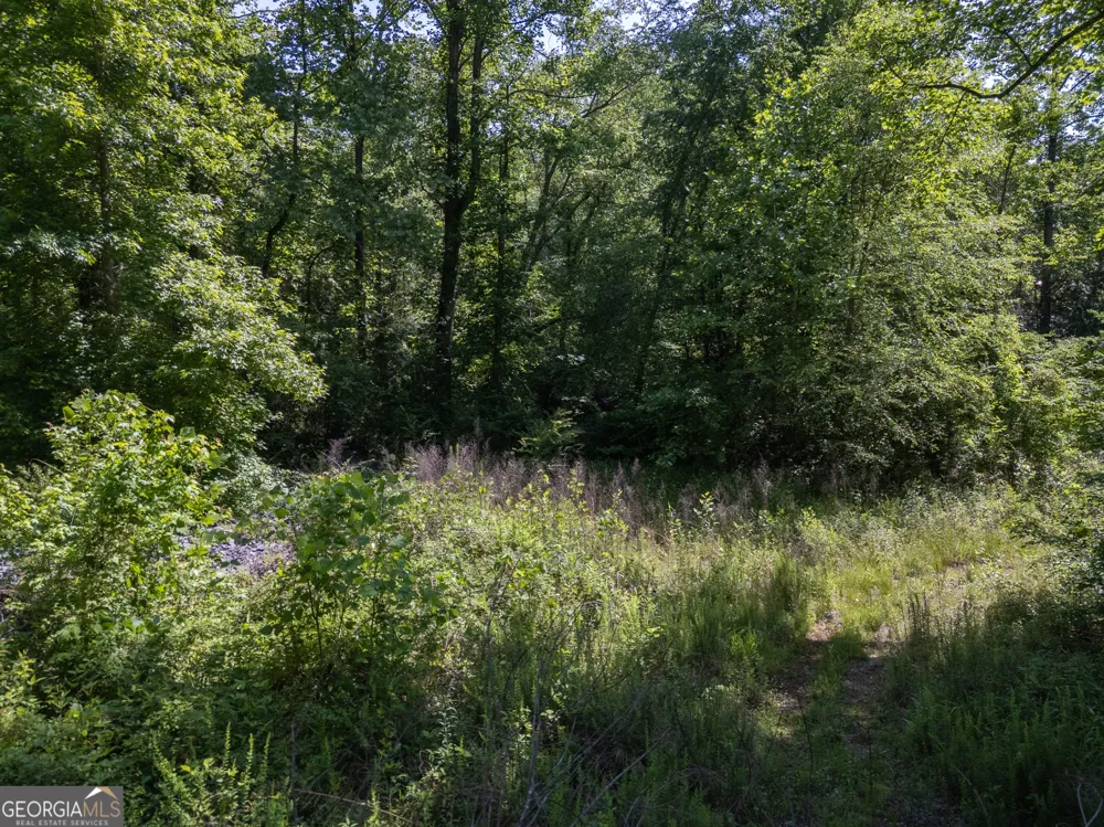 440 Joe Franklin RD Sautee Nacoochee, GA 30571