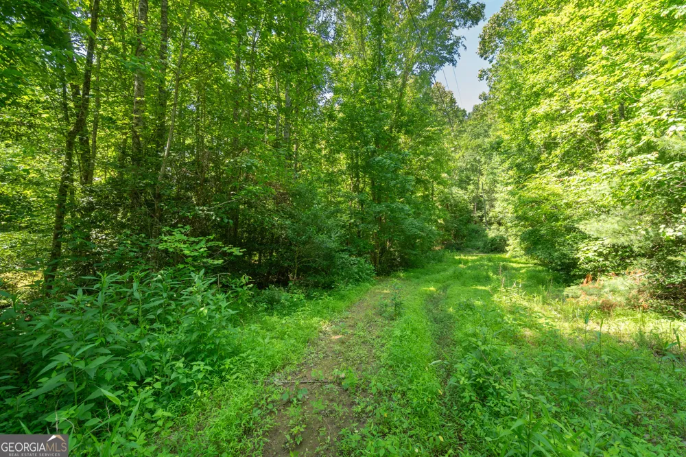440 Joe Franklin RD Sautee Nacoochee, GA 30571