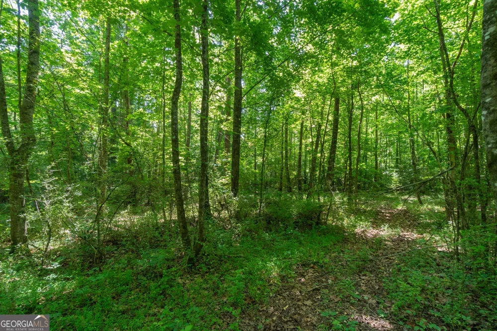 440 Joe Franklin RD Sautee Nacoochee, GA 30571