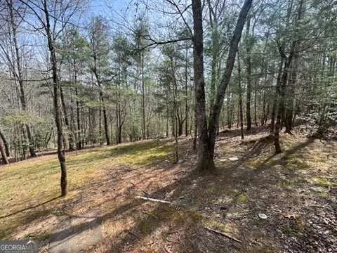 22 & 26 A O LN Morganton, GA 30560