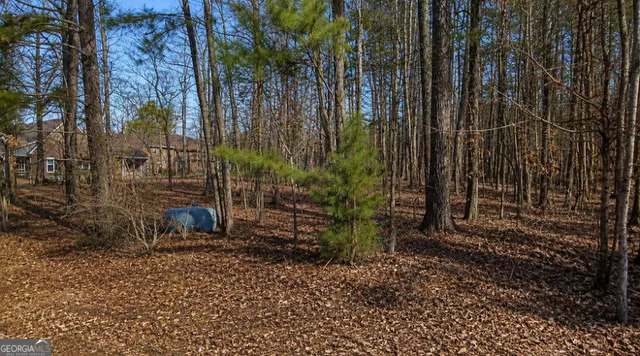 1141 Brannon DR Greensboro, GA 30642