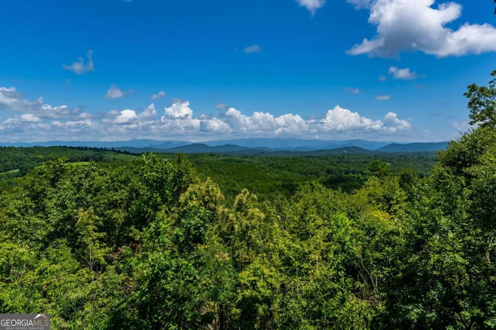 334 Hawksclaw TRL Morganton, GA 30560