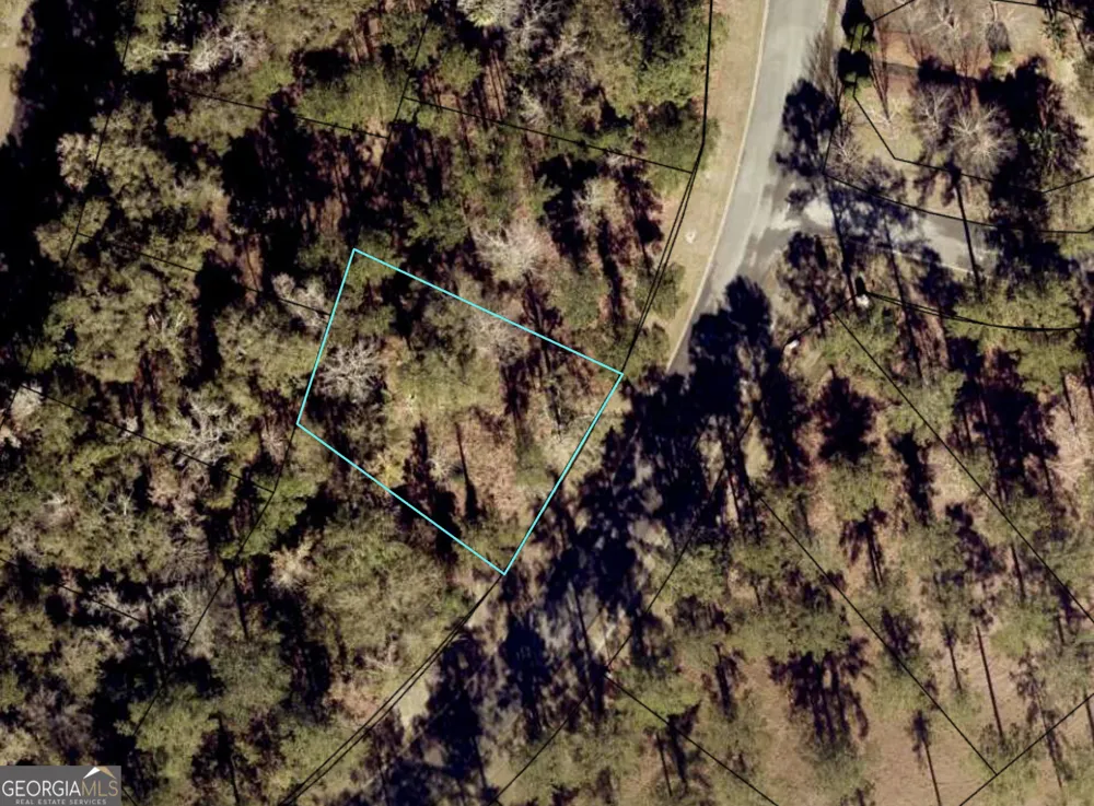 0 Sanctuary Wynd Waverly, GA 31565