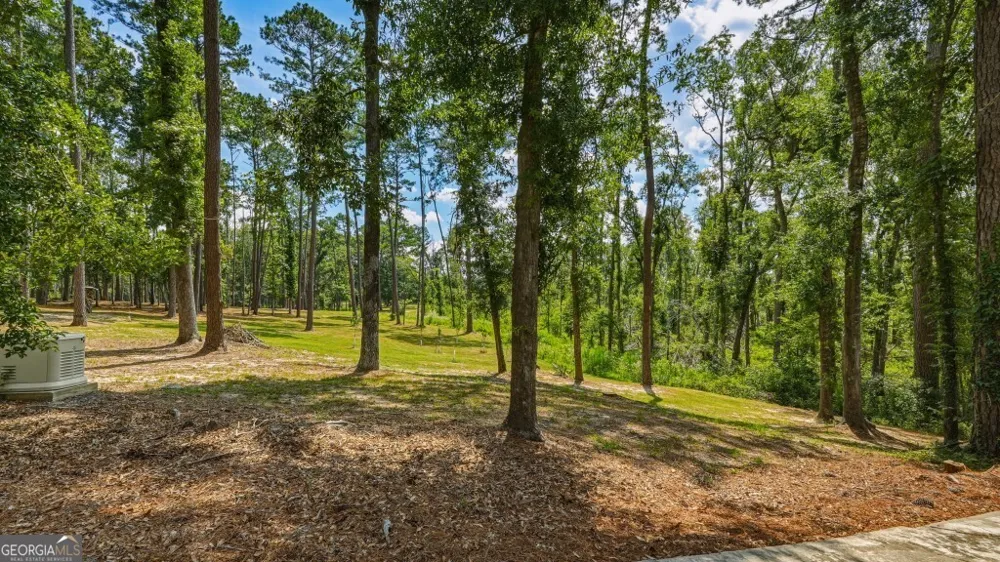 1370 Ga Highway 56 Mount Vernon, GA 30445