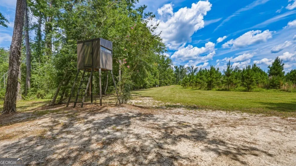 1370 Ga Highway 56 Mount Vernon, GA 30445