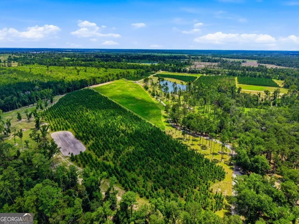 1370 Ga Highway 56 Mount Vernon, GA 30445