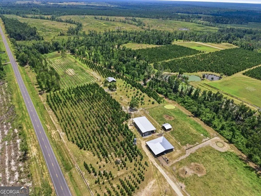 1370 Ga Highway 56 Mount Vernon, GA 30445