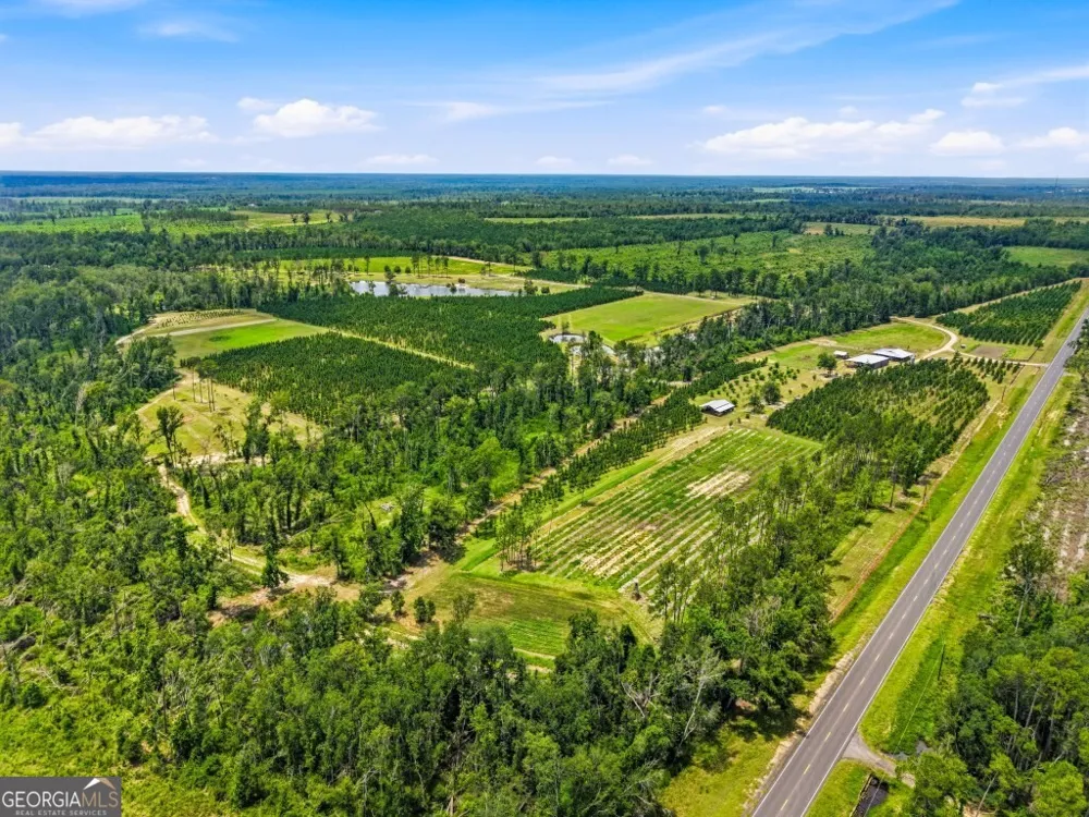 1370 Ga Highway 56 Mount Vernon, GA 30445