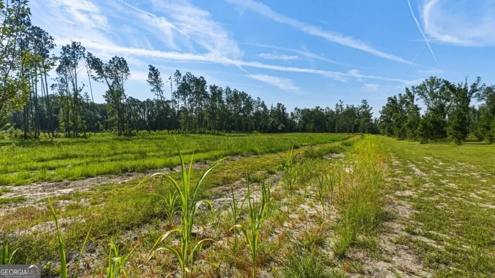 1370 Ga Highway 56 Mount Vernon, GA 30445