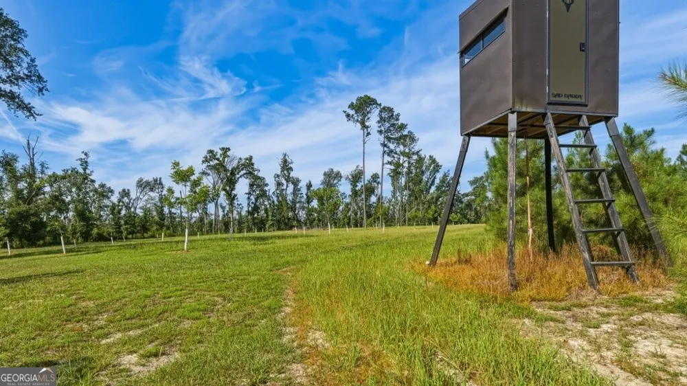 1370 Ga Highway 56 Mount Vernon, GA 30445