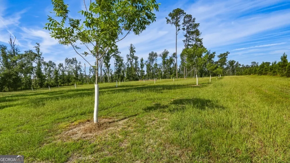 1370 Ga Highway 56 Mount Vernon, GA 30445