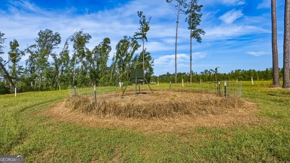1370 Ga Highway 56 Mount Vernon, GA 30445