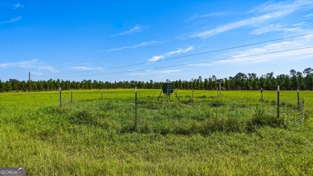 1370 Ga Highway 56 Mount Vernon, GA 30445