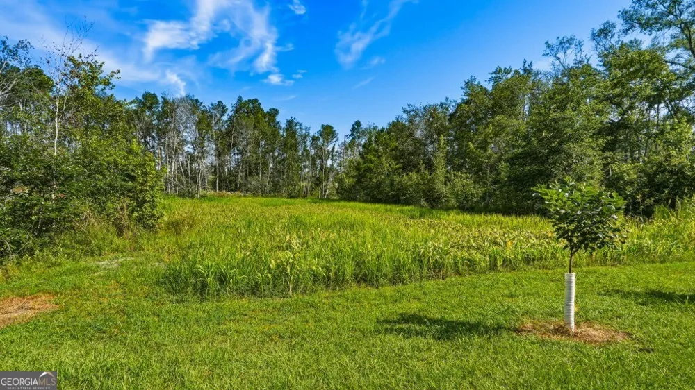 1370 Ga Highway 56 Mount Vernon, GA 30445