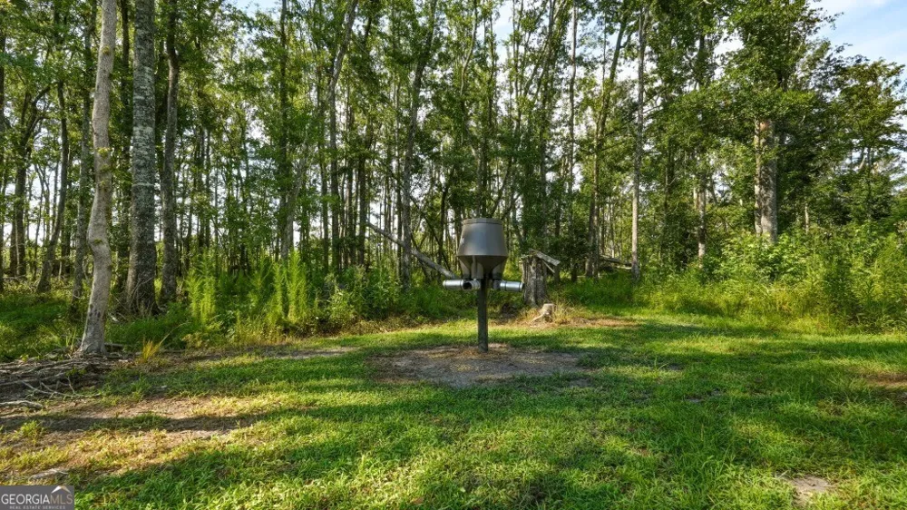 1370 Ga Highway 56 Mount Vernon, GA 30445