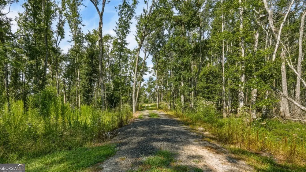 1370 Ga Highway 56 Mount Vernon, GA 30445