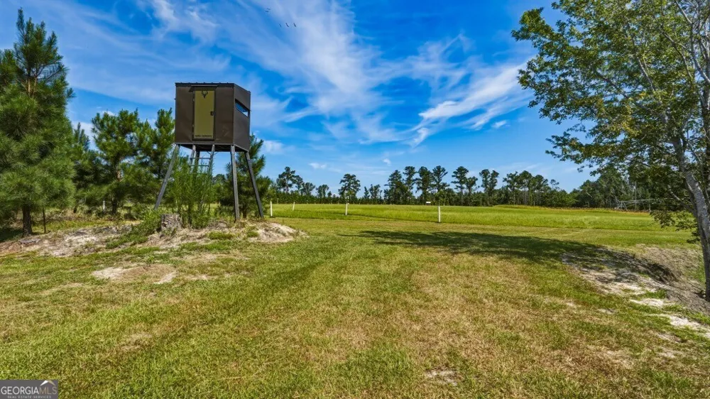 1370 Ga Highway 56 Mount Vernon, GA 30445