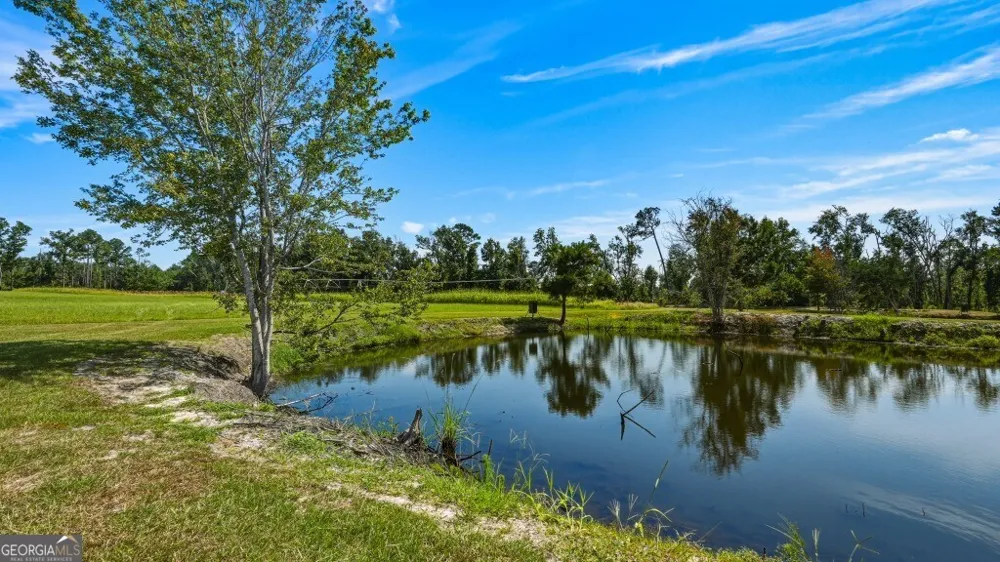 1370 Ga Highway 56 Mount Vernon, GA 30445
