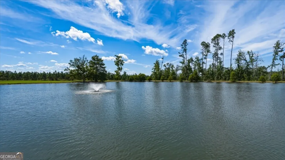 1370 Ga Highway 56 Mount Vernon, GA 30445