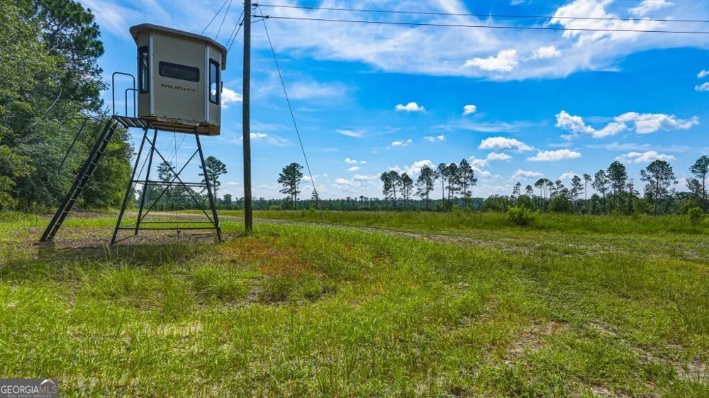 1370 Ga Highway 56 Mount Vernon, GA 30445
