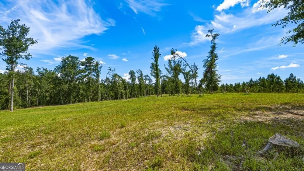 1370 Ga Highway 56 Mount Vernon, GA 30445