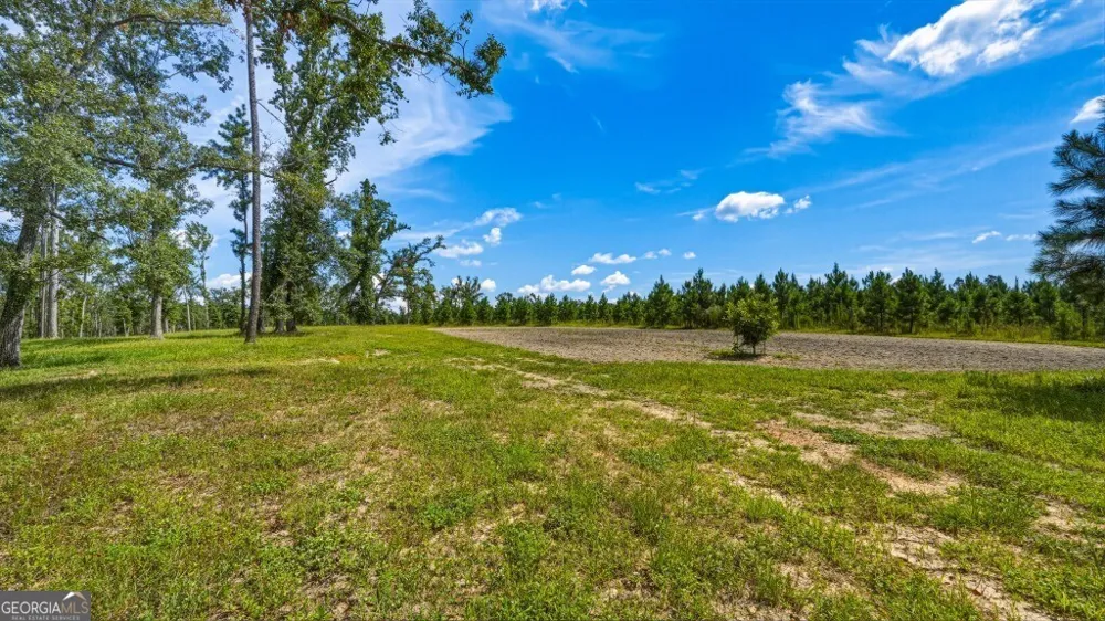 1370 Ga Highway 56 Mount Vernon, GA 30445