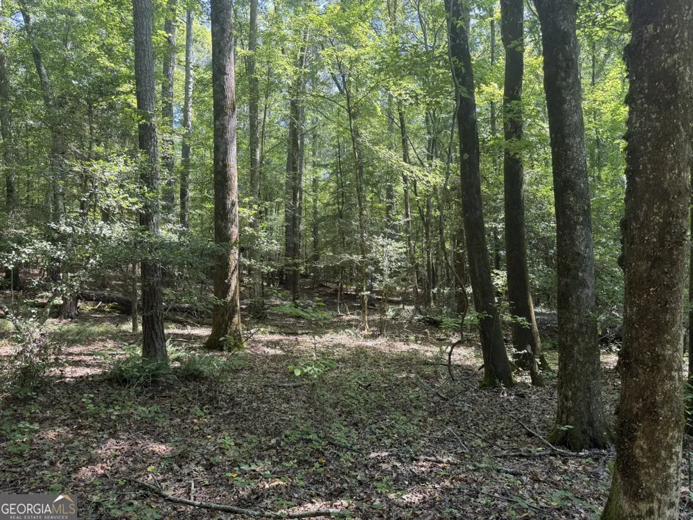 0 Hulmes Chapel Elberton, GA 30635