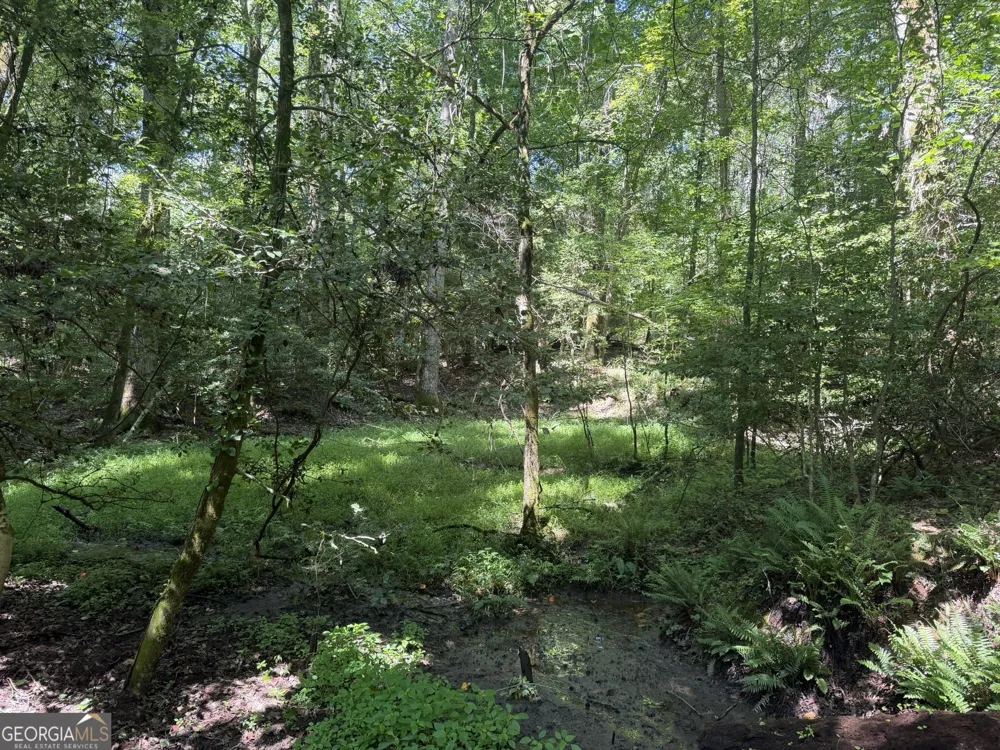 0 Hulmes Chapel Elberton, GA 30635