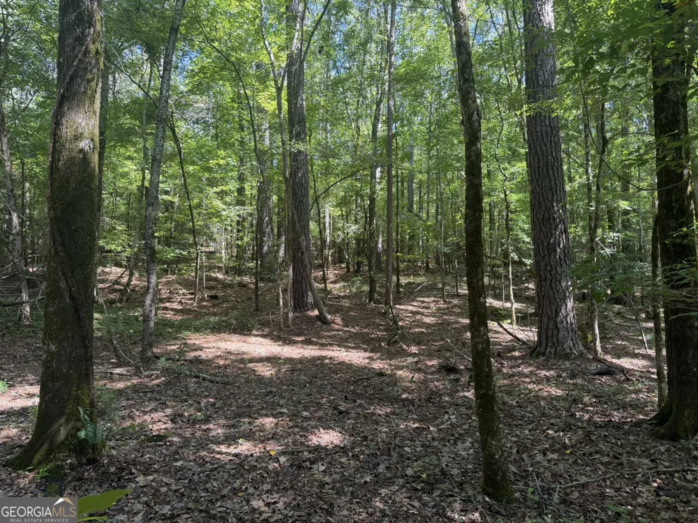0 Hulmes Chapel Elberton, GA 30635