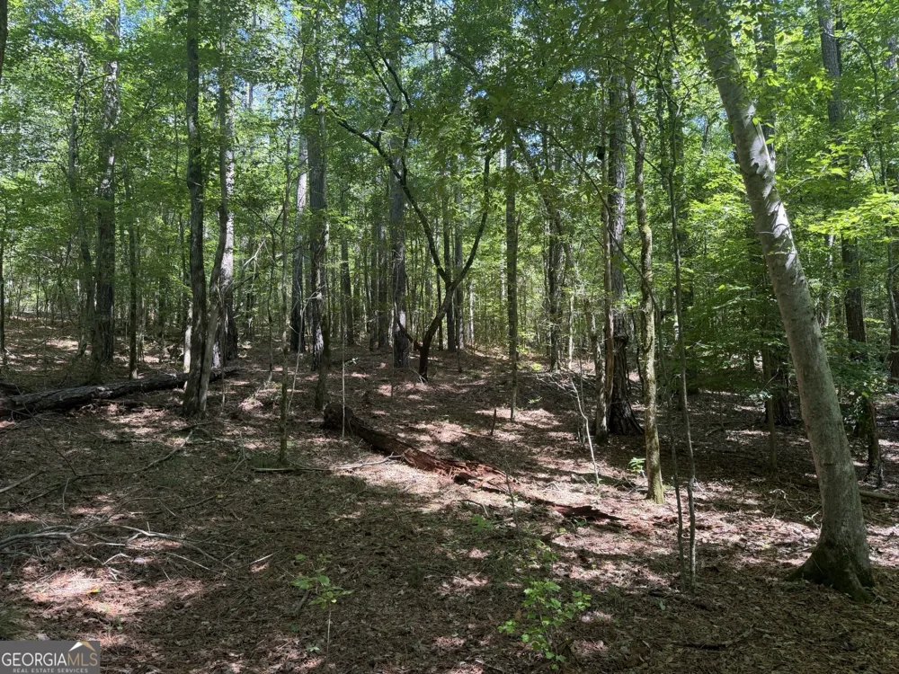 0 Hulmes Chapel Elberton, GA 30635